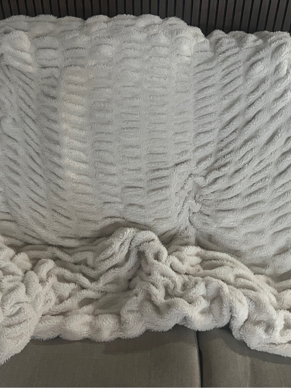 Minky Couture Hugs blanket Adult size